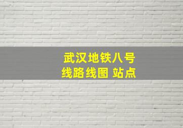 武汉地铁八号线路线图 站点